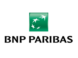 Logo BNP